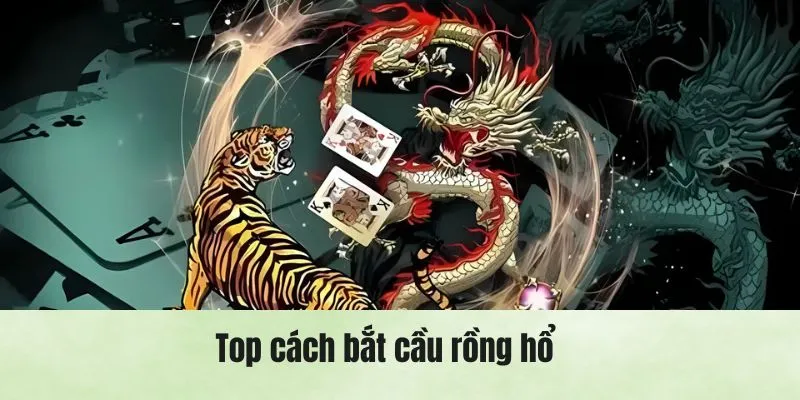 Top cách bắt cầu rồng hổ cực chuẩn từ chuyên gia