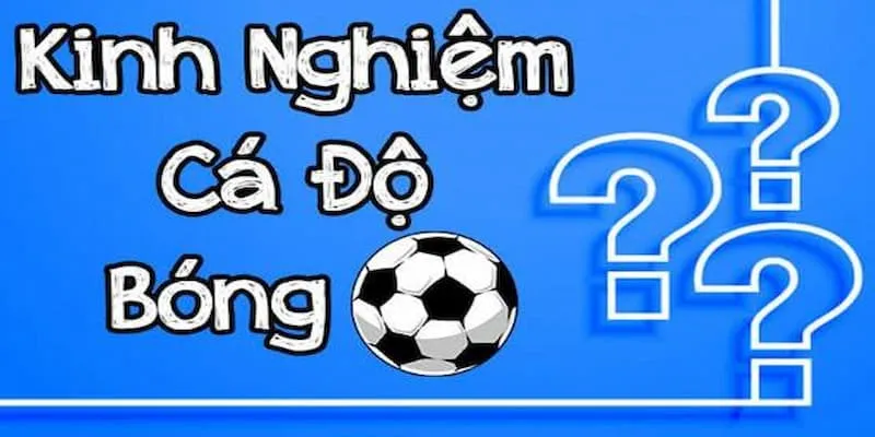 Chia sẻ kinh nghiệm cá độ bóng đá bất bại từ chuyên gia
