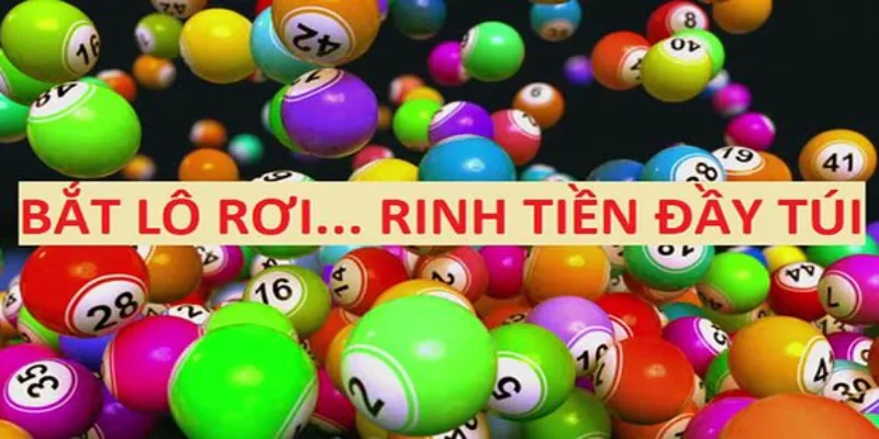 Top 4 Cách Bắt Lô Rơi Hiệu Quả Từ Cao Thủ Chuyên Nghiệp