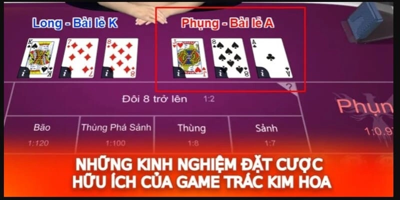 Ưu điểm nổi trội của Trác Kim Hoa tại nhà cái 8KBET