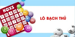 Bạch Thủ Lô - Tuyệt Chiêu Soi Cầu Bạch Thủ Chuẩn Xác